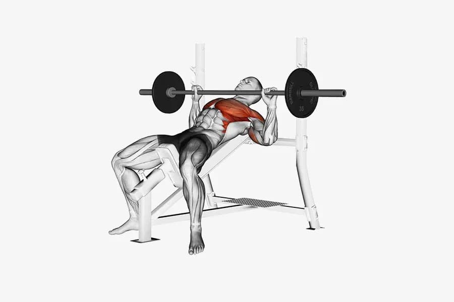 Barbell Bench Press